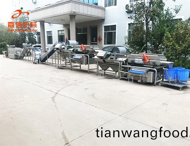 長(zhǎng)(zhang)葉(ye)菜(cai)清(qing)洗風(fēng)榦流水線